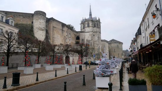 Street view of Chateau d'Amboise